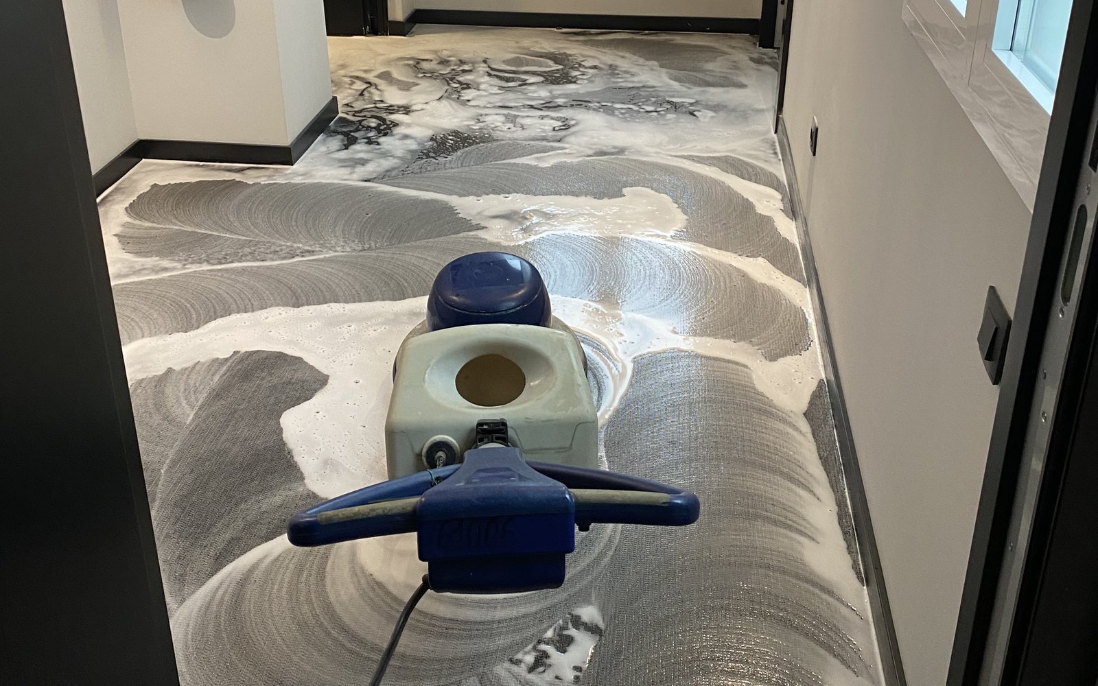 Limpieza profesional de una alfombra durante el tratamiento